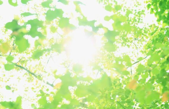 姶良市で駐車場の施工依頼するならＴエクスプランにお任せください！